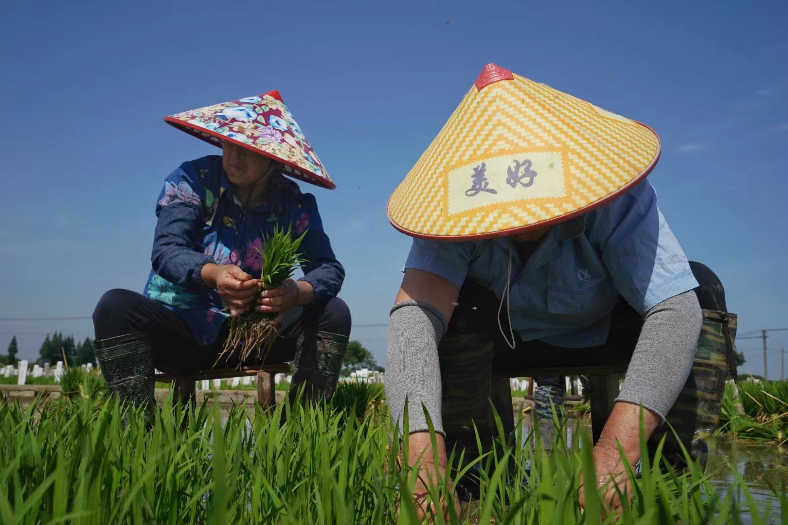微信图片_20220609221927.jpg 微信图片_20220609221927.jpg
